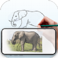 draw trace sketch绘画软件app安卓手机版v1.7